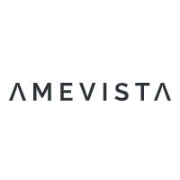 Amevista IT