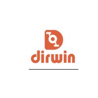 Dirwin Bikes