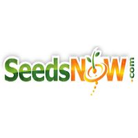 SeedsNow