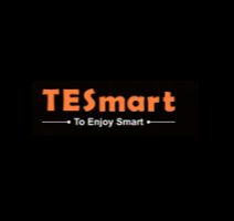 TESmart