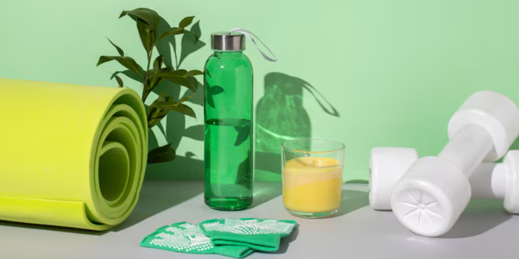 Best Lignosus Wellness Products for Daily Health