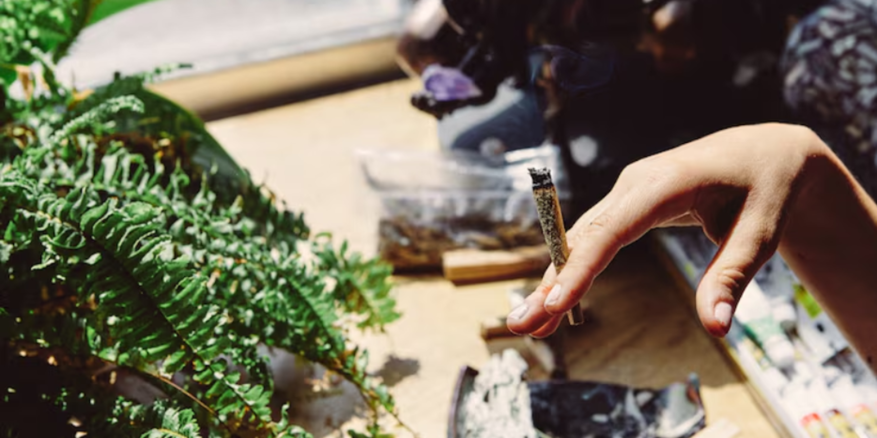 Lit Farms Review: Discover Premium Exotic Strains and Top Shelf Hemp Products