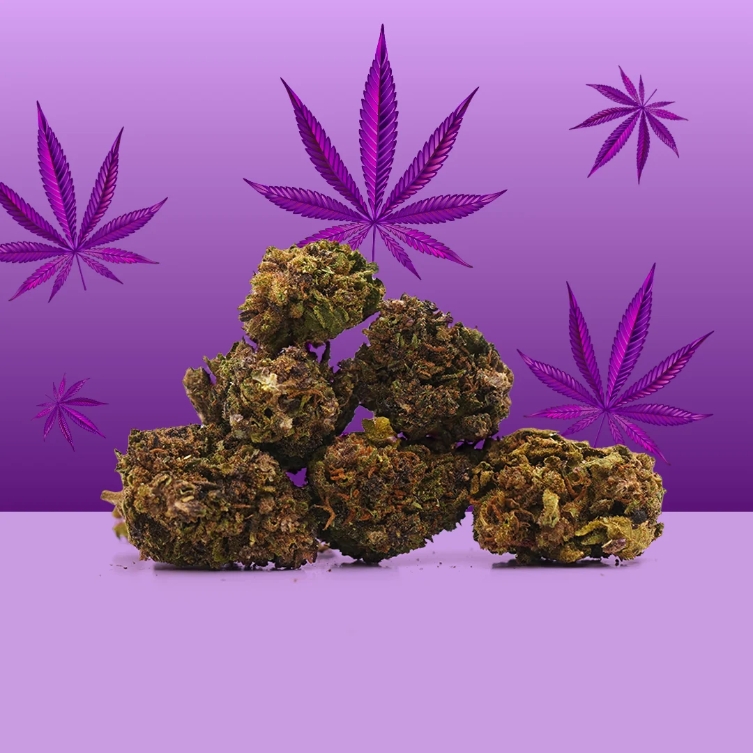Mama Kana Purple Haze CBD