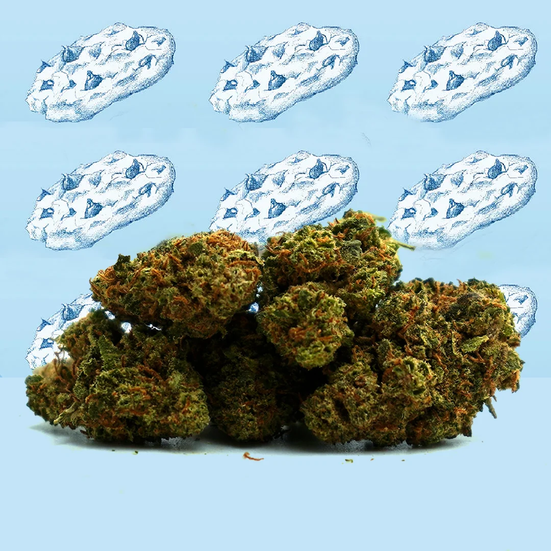 Cookie Kush CBD Small Buds